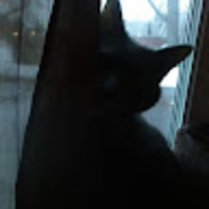 Meet your Posher, Juliet